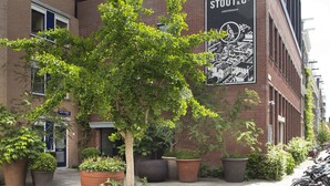 Un bâtiment sur lequel est apposée une grande enseigne indiquant « Stout & Co. », avec un arbre au premier plan.