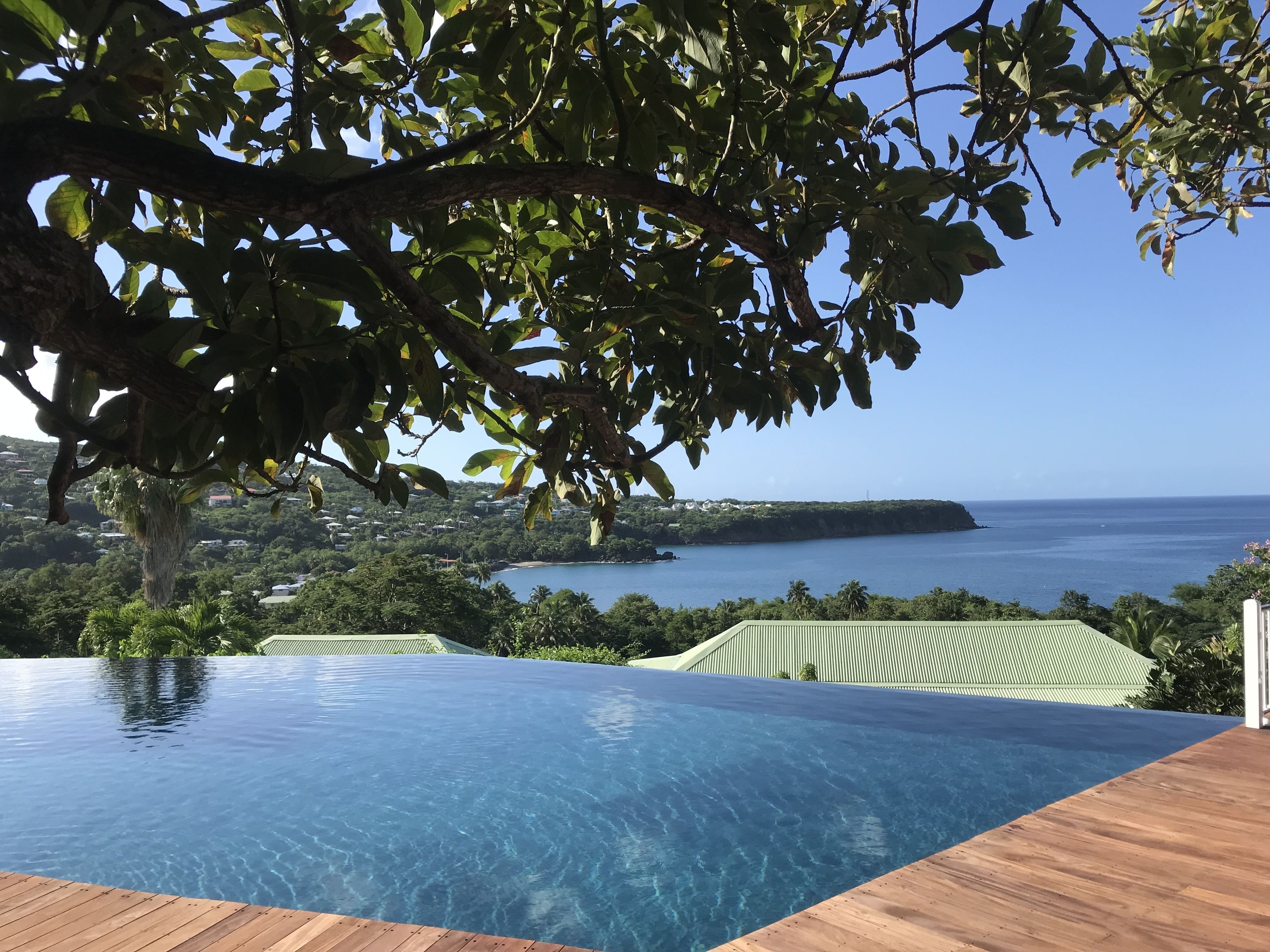 Vista despejada de una piscina infinita con cubierta de madera, rodeada de exuberante vegetación y con vistas al paisaje costero y edificios lejanos.