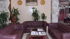 Una sala de estar con dos sofás de cuero, una mesa de centro con revistas y varias plantas en macetas.
