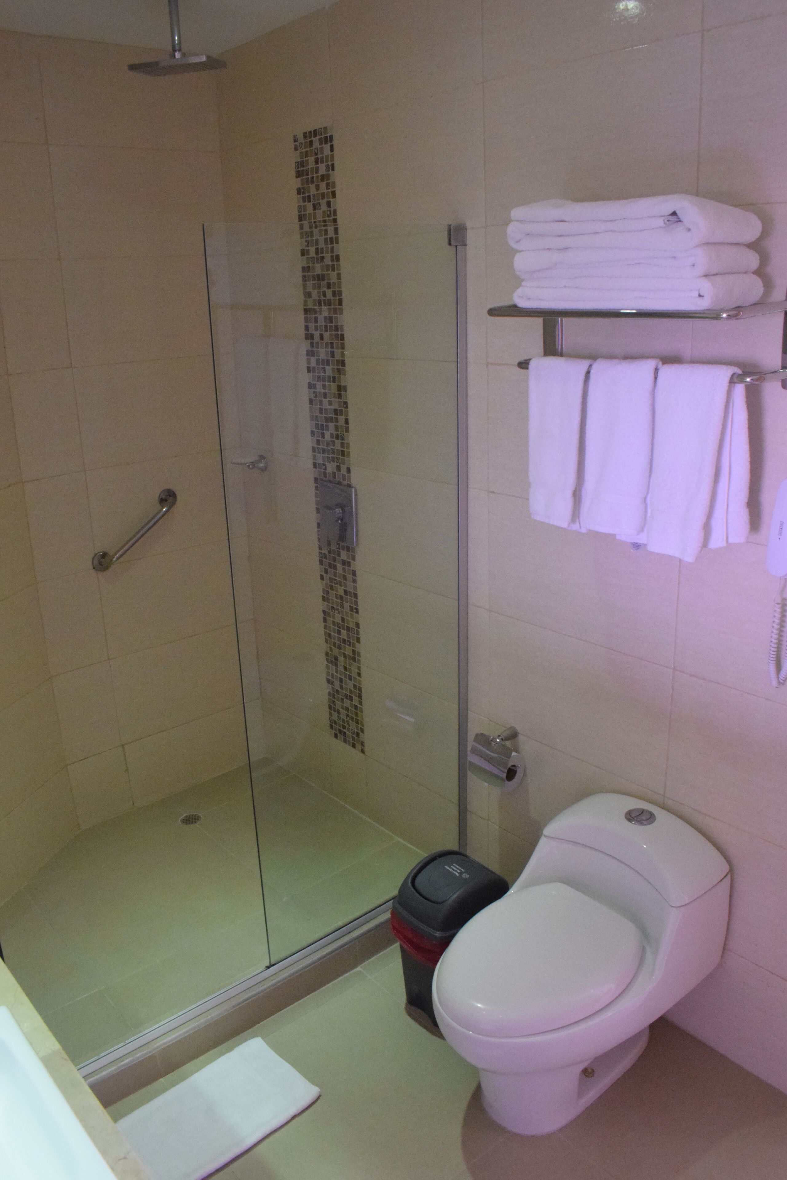 A bathroom with a glass-enclosed shower, a toilet, and a towel rack with folded towels.