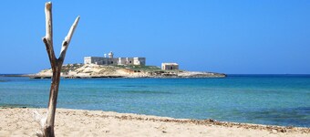 Portopalosuite