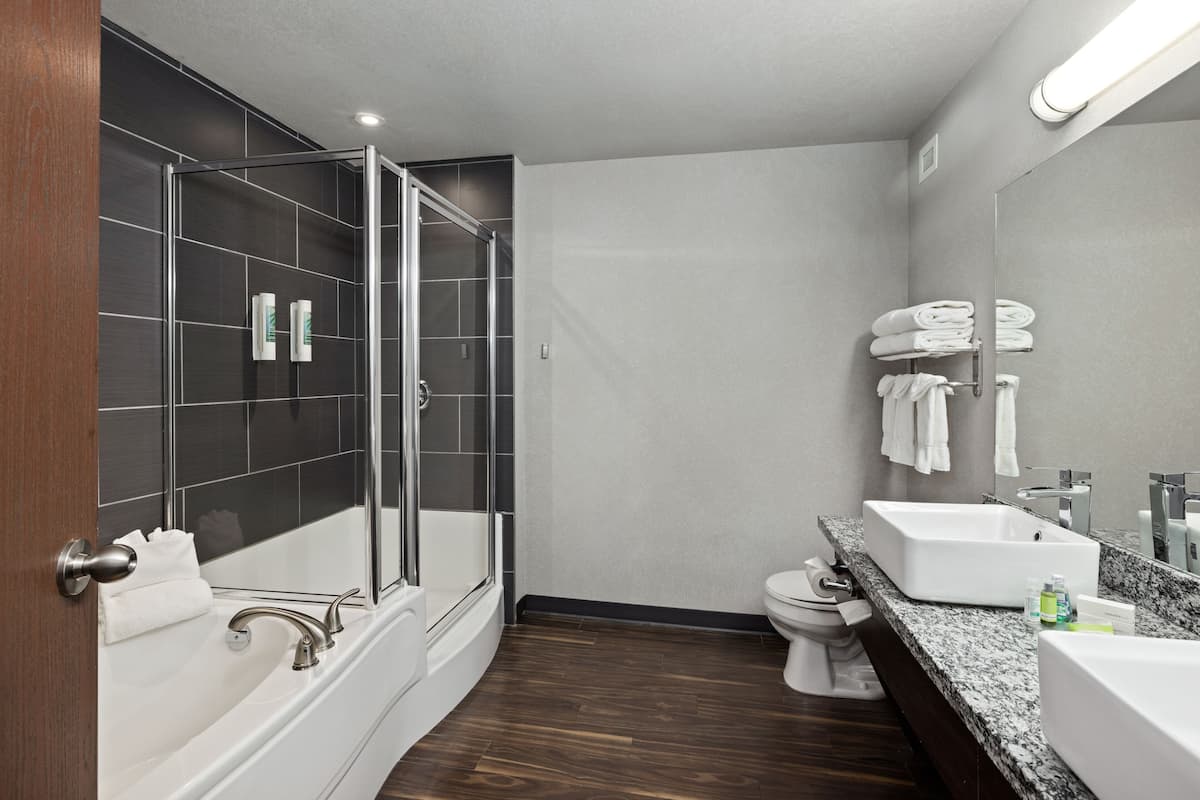 combined shower/bathtub, hair dryer, bathrobes, towels