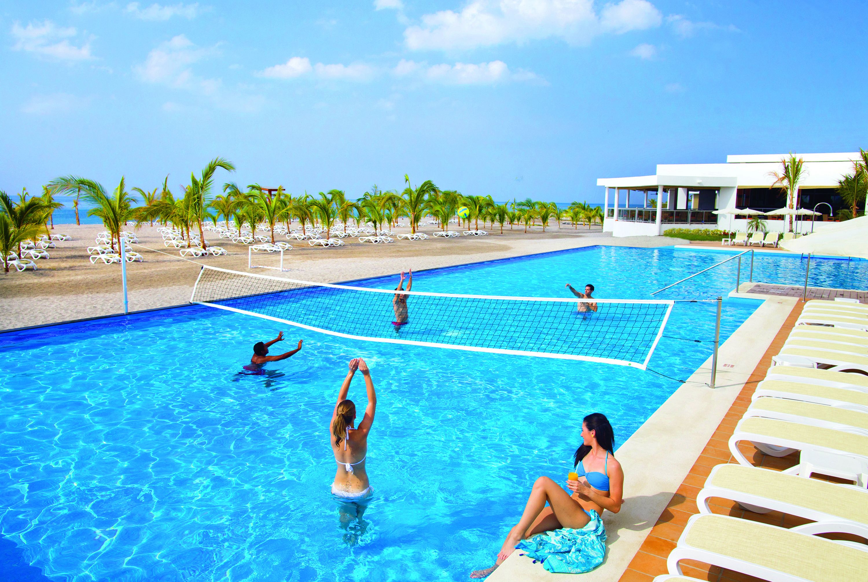 Una piscina amb una xarxa de voleibol, palmeres i gandules.