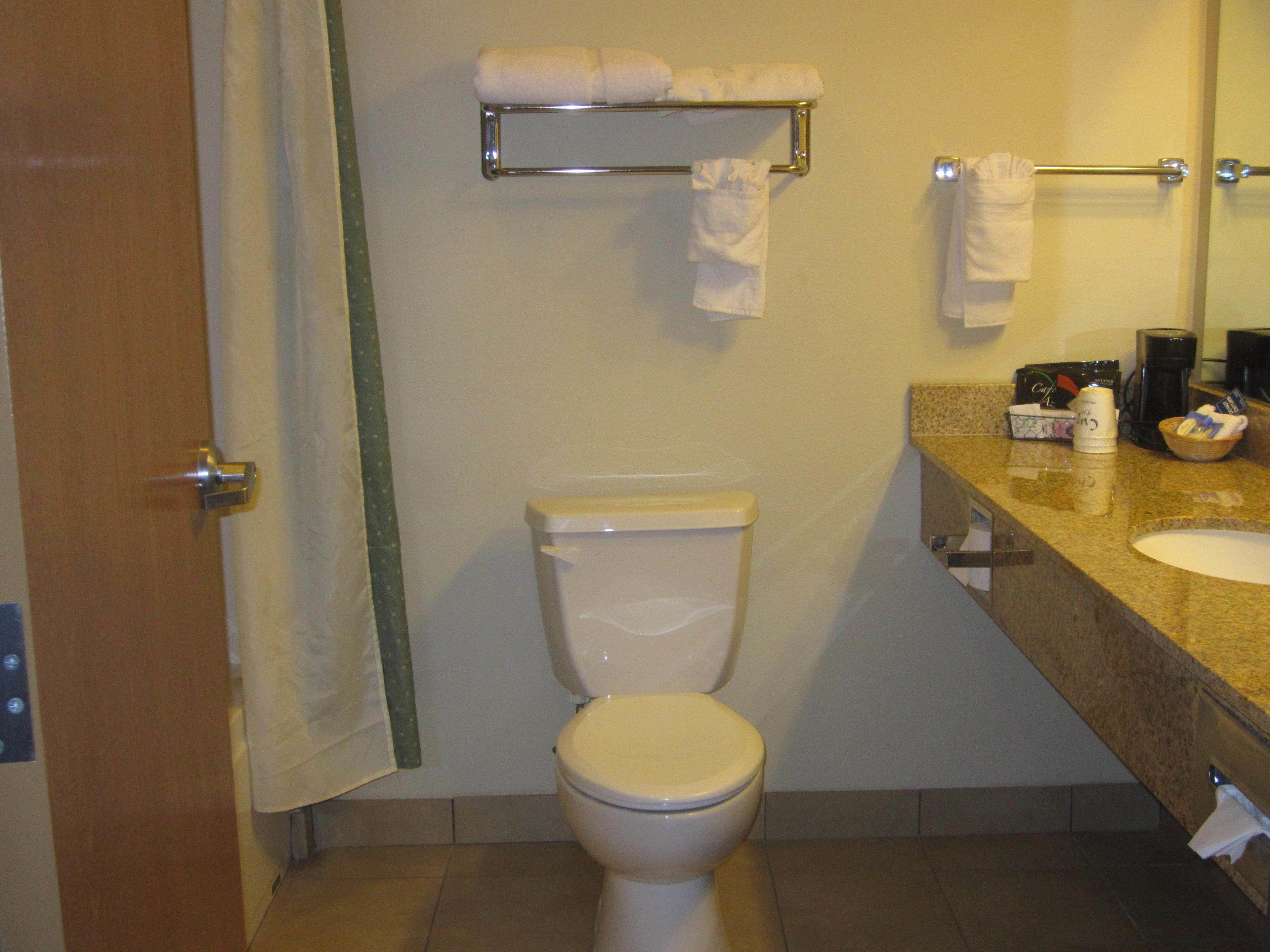 combined shower/bathtub, hair dryer, towels