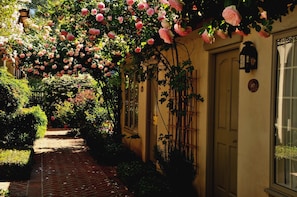 Jardin