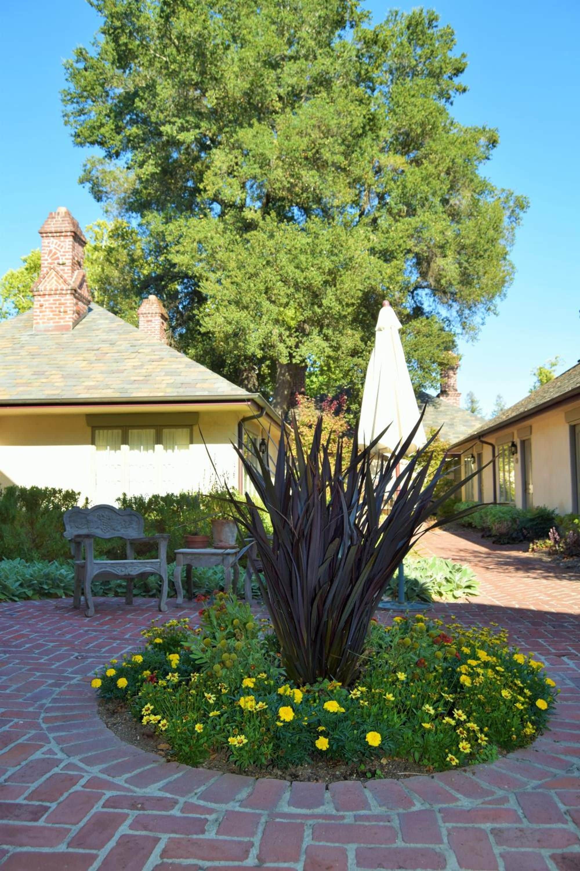 Un chemin pavé de briques mène à un bâtiment doté d’une cheminée, qui est entouré d’un jardin avec des fleurs jaunes et d’un grand arbre.