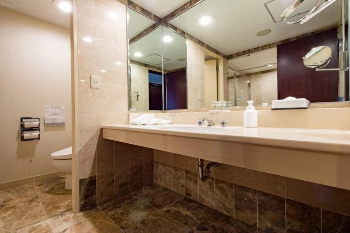 Combined shower/bathtub, free toiletries, hair dryer, slippers