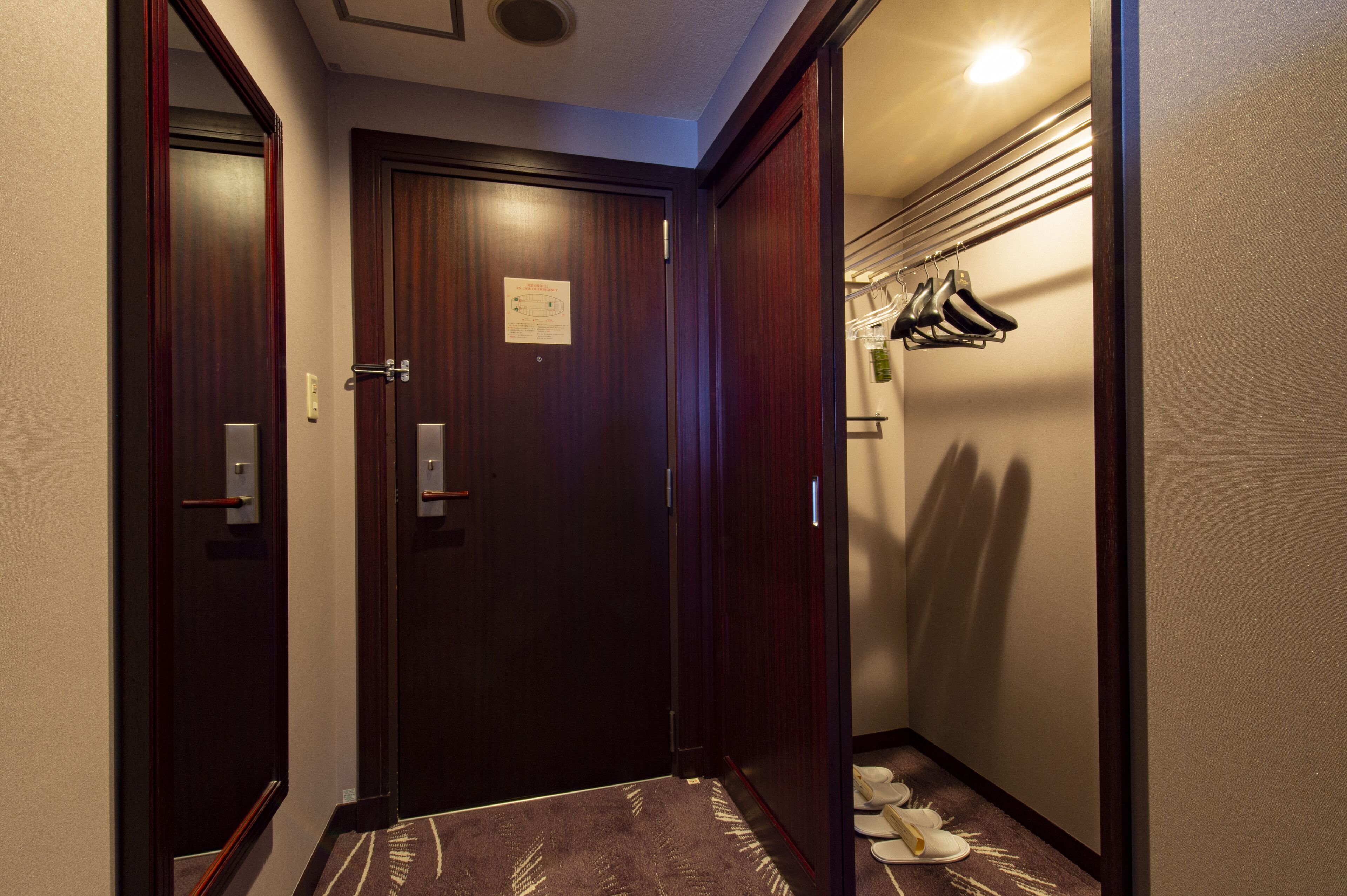 A hallway with wooden doors, a shoe rack, and a carpeted floor.