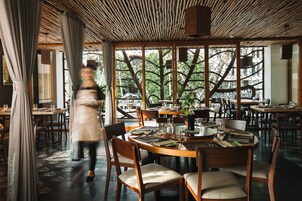 供应早餐、午餐和晚餐，国际美食，室外就餐