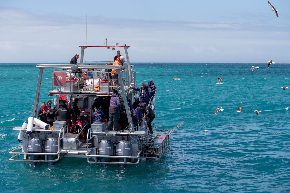 Aire Del Mar Guest House - Gansbaai by null