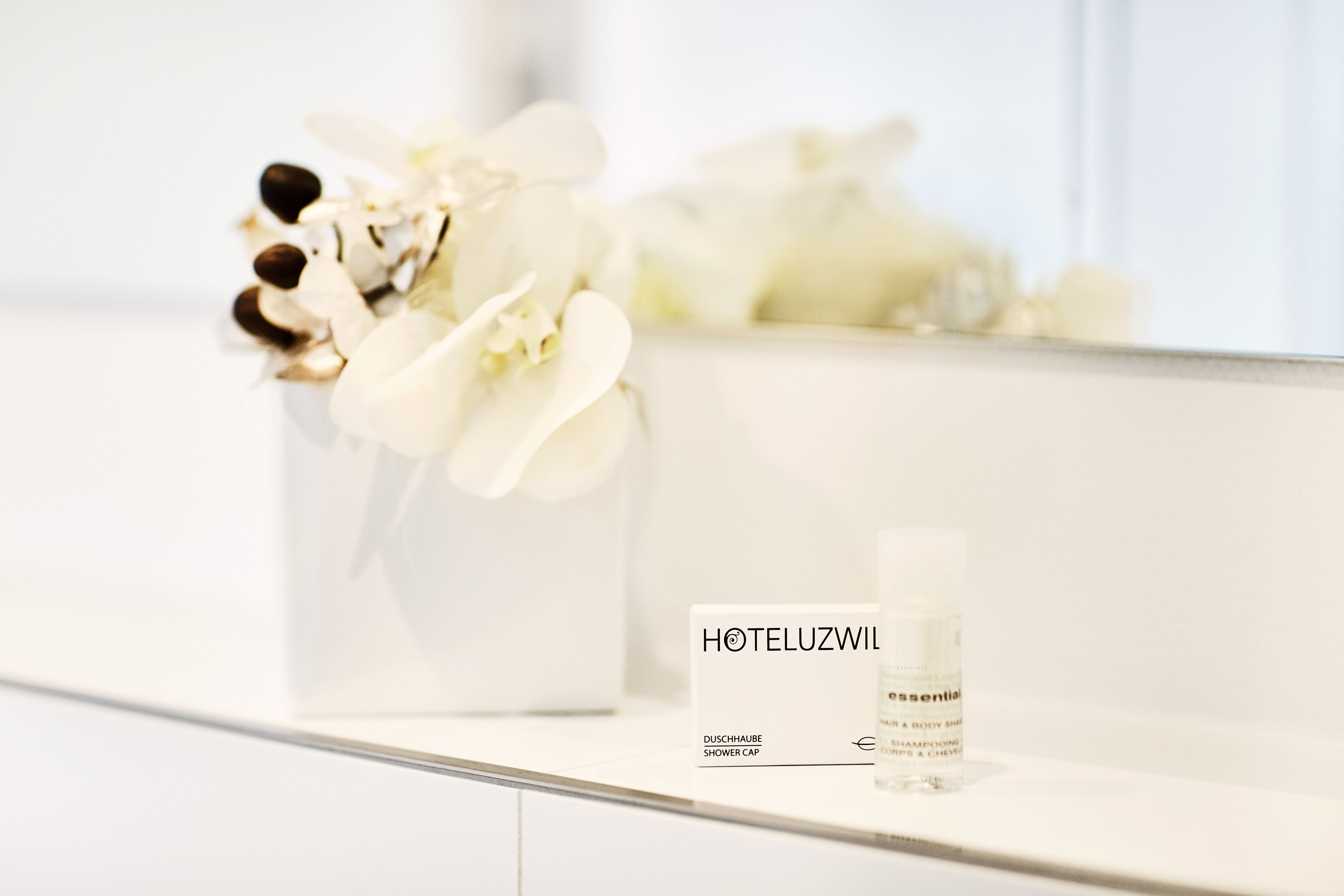 single room | pillow-top beds, desk