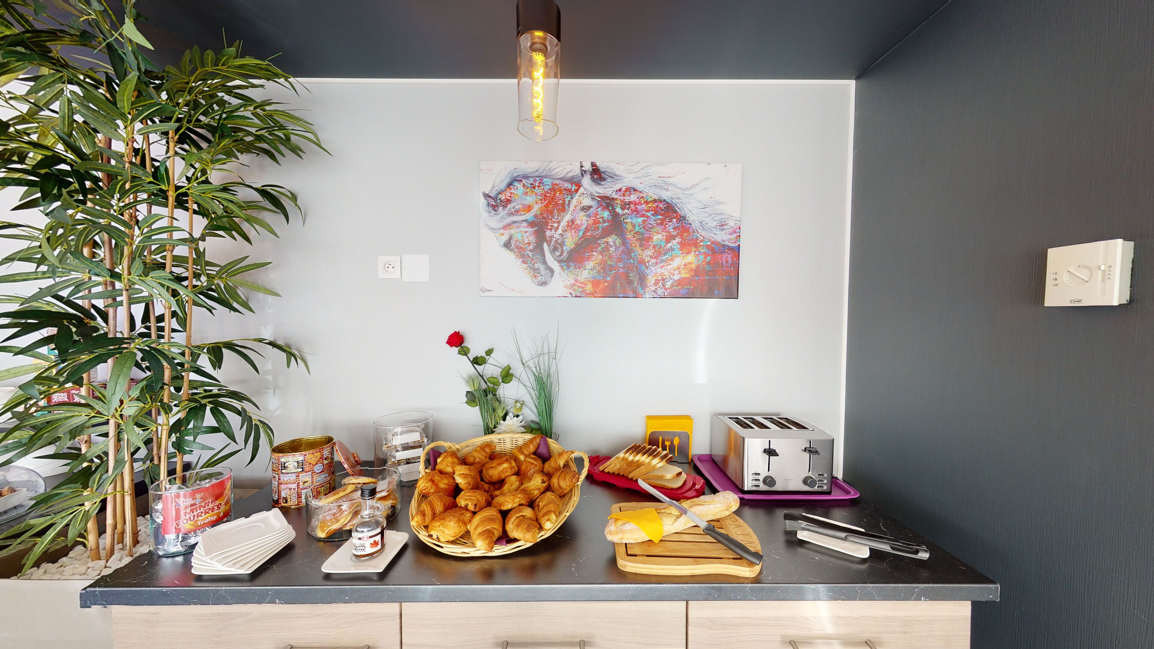 daily continental breakfast (eur 11 per person)