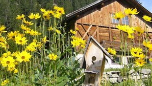 A wooden cabin surrounded by vibrant yellow flowers. - Natur Residenz Blaslerhof (Valle di Casies)