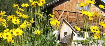 Natur Residenz Blaslerhof