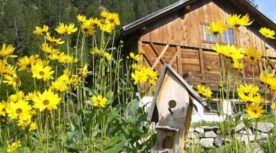 Natur Residenz Blaslerhof