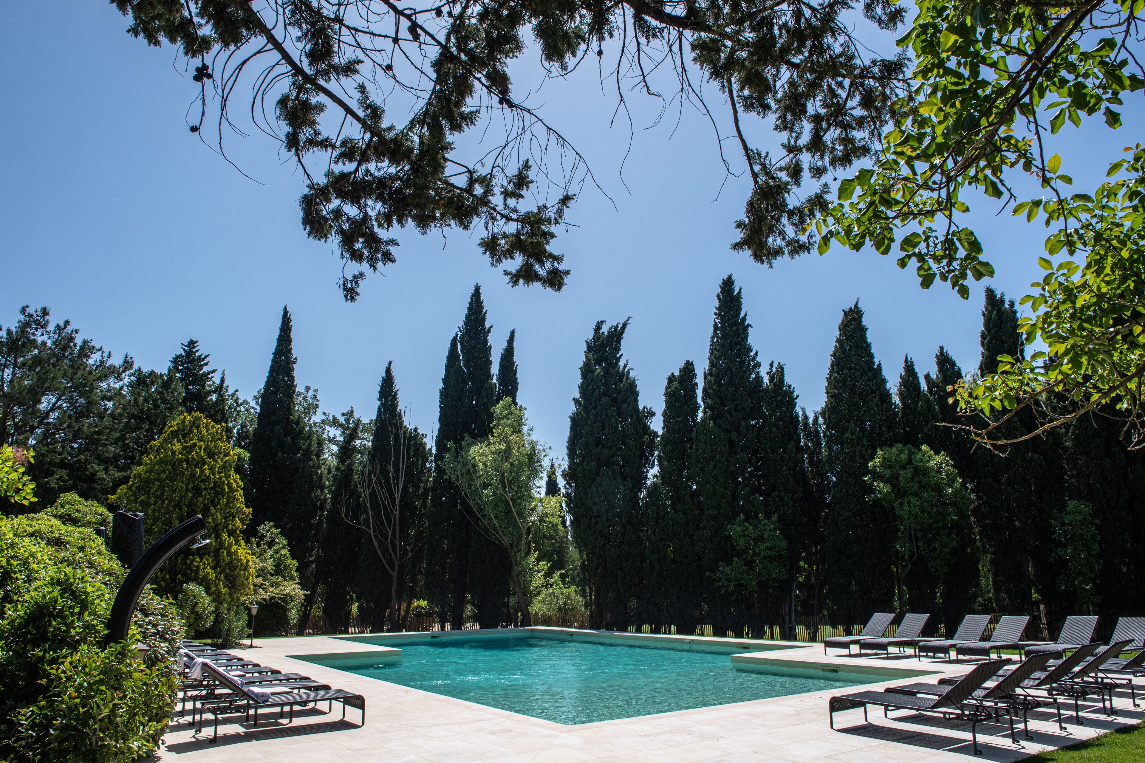 A swimming pool with lounge chairs, surrounded by tall trees and greenery.