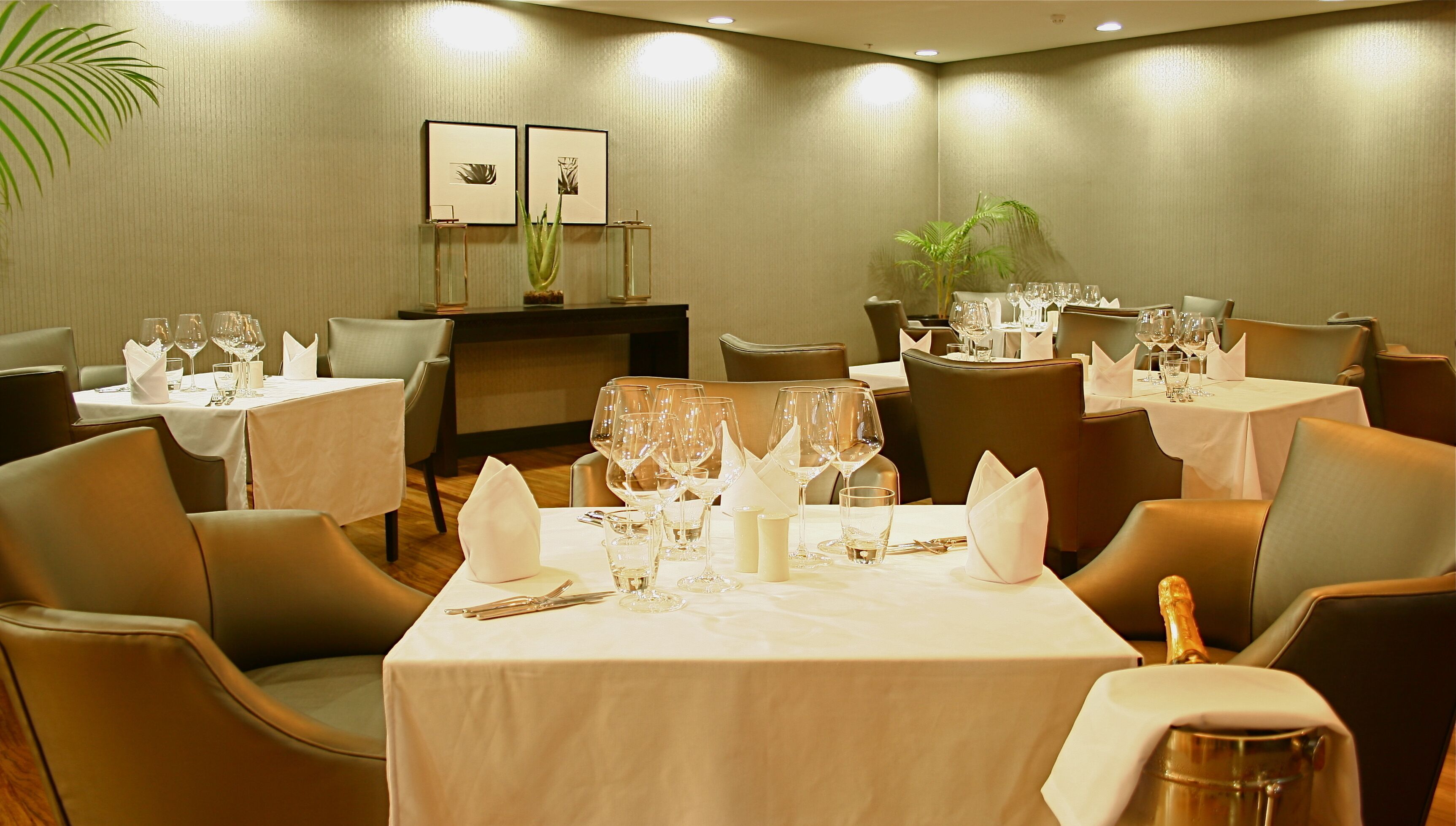 A dining area with tables set for a meal, chairs, and a plant in the background.