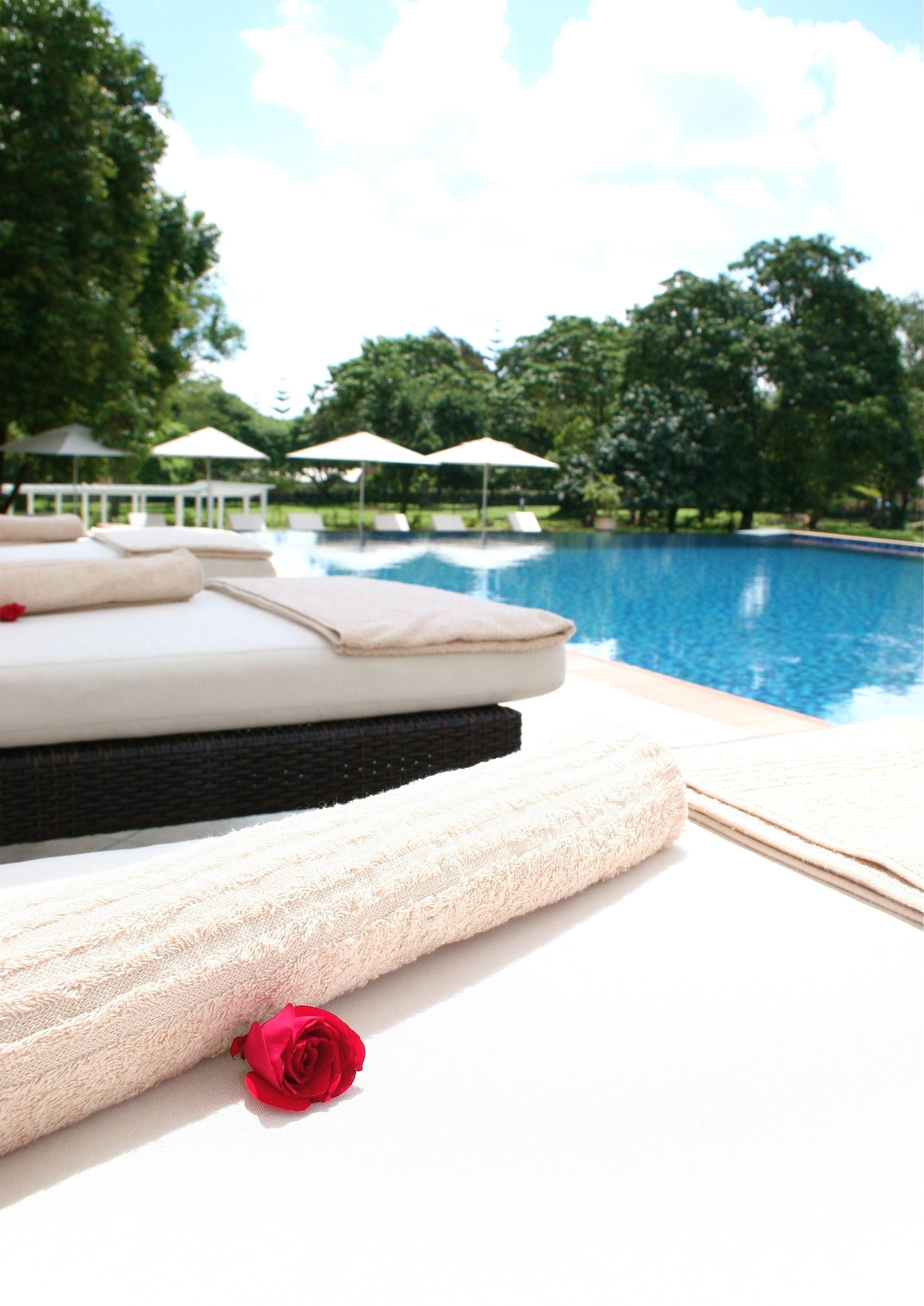 Outdoor pool, pool umbrellas, pool loungers