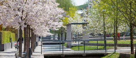 A serene park with a water canal, benches, and cherry blossom trees.