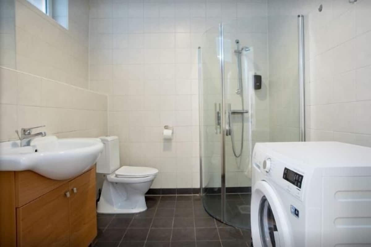 Shower, hair dryer, towels