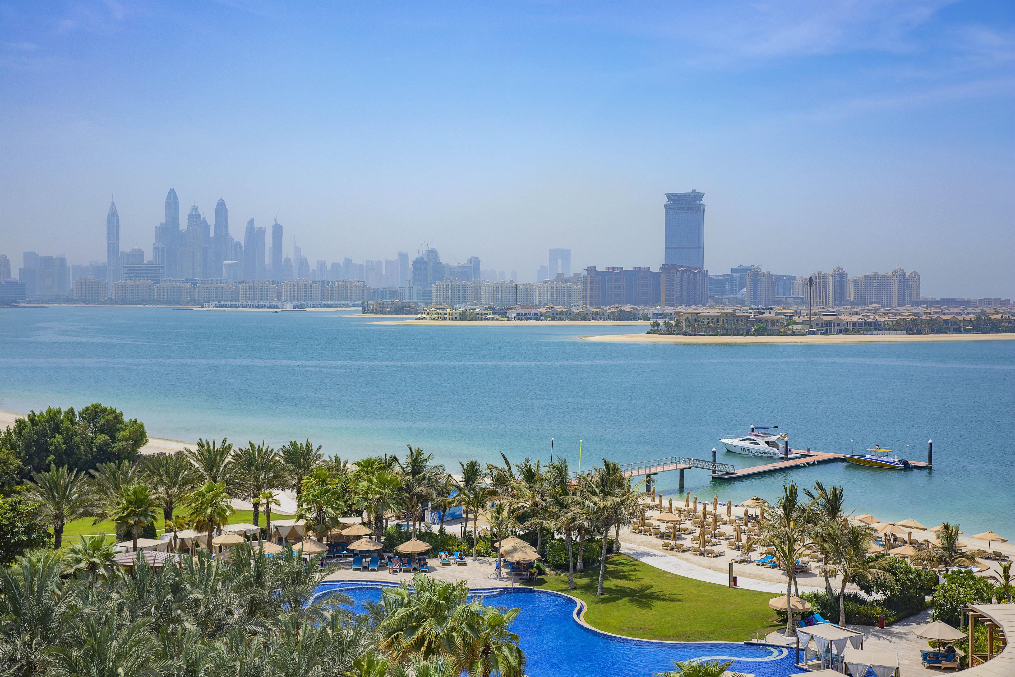 A resort with a swimming pool, palm trees, and a view of a city skyline across a body of water.
