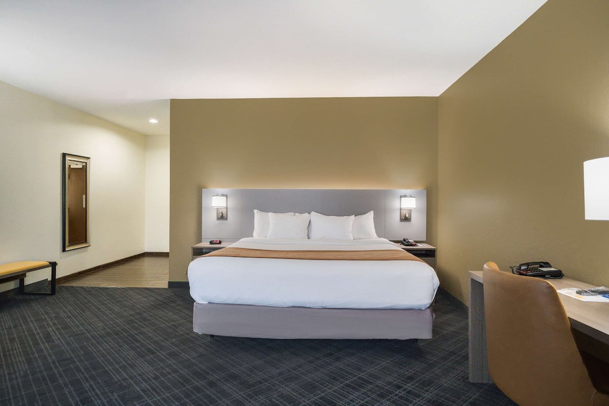 A hotel room with a large bed, a desk, a chair, and a bench.