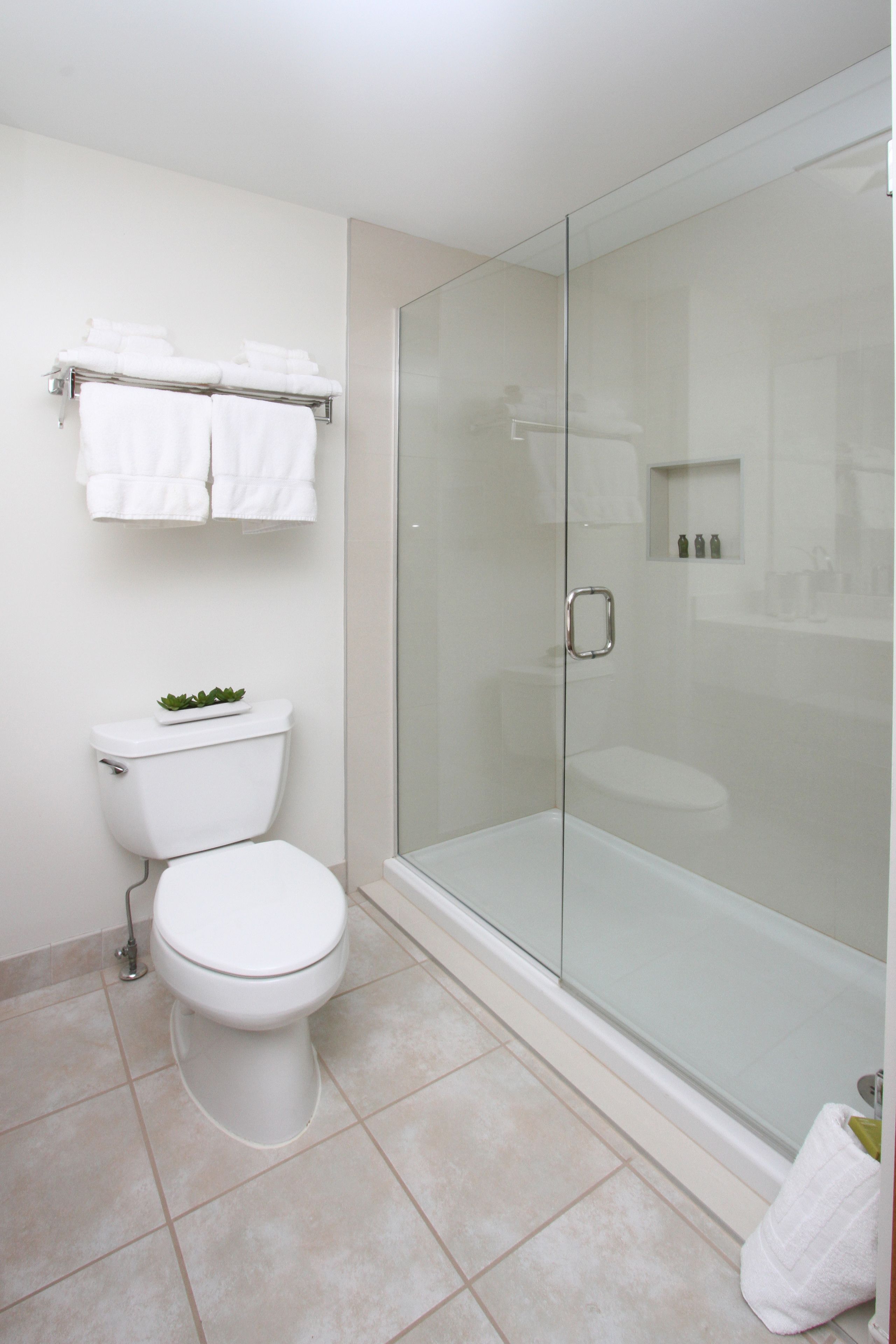 A bathroom with a toilet, a glass-enclosed shower, and a towel rack.