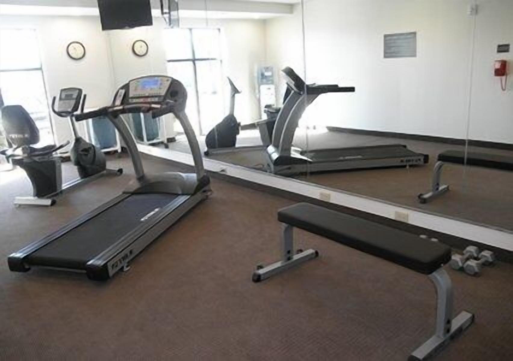 A gym with treadmills, a bench, and a mirrored wall.