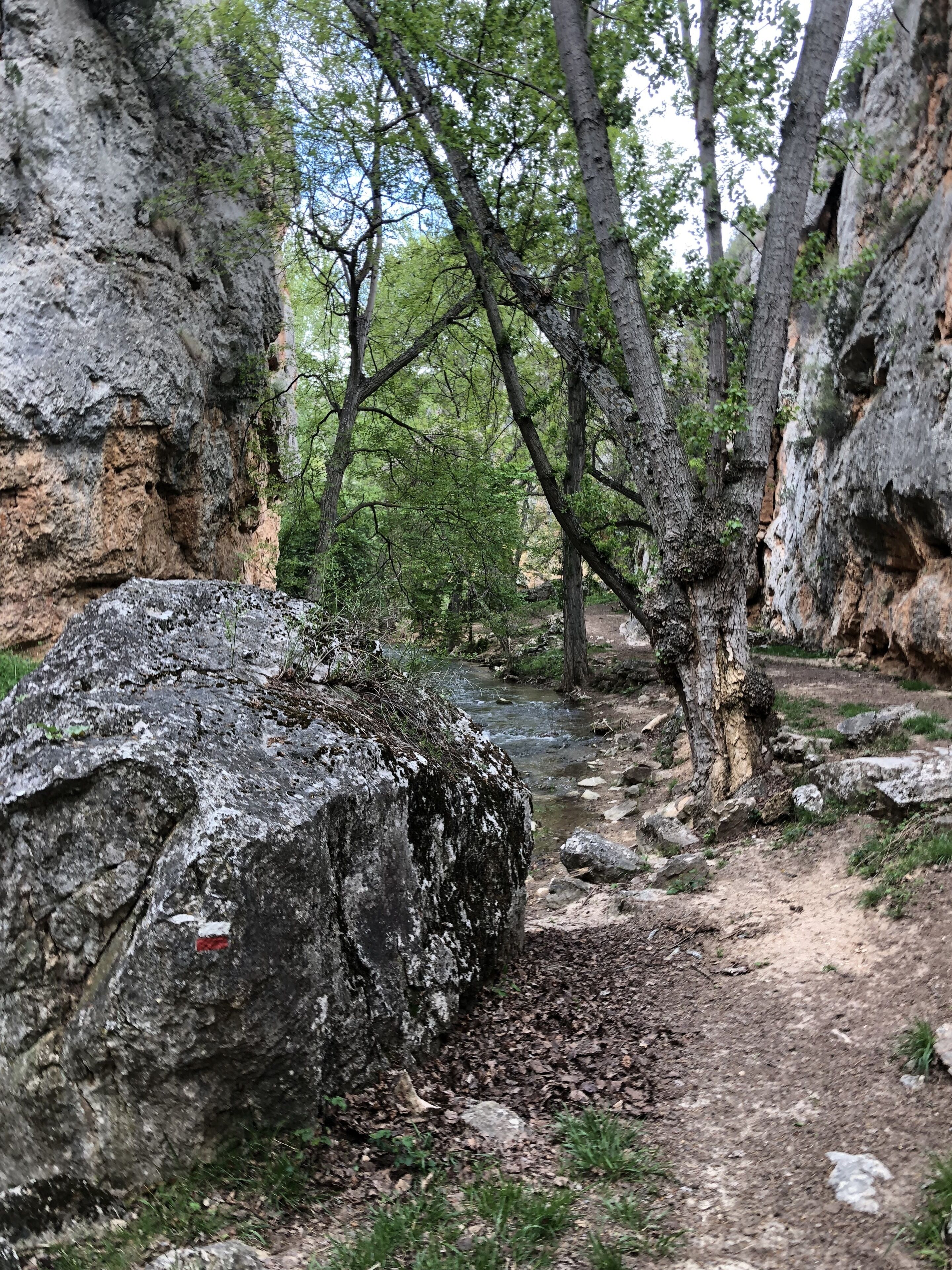 Terreno rocoso con un arroyo, árboles y un sendero.