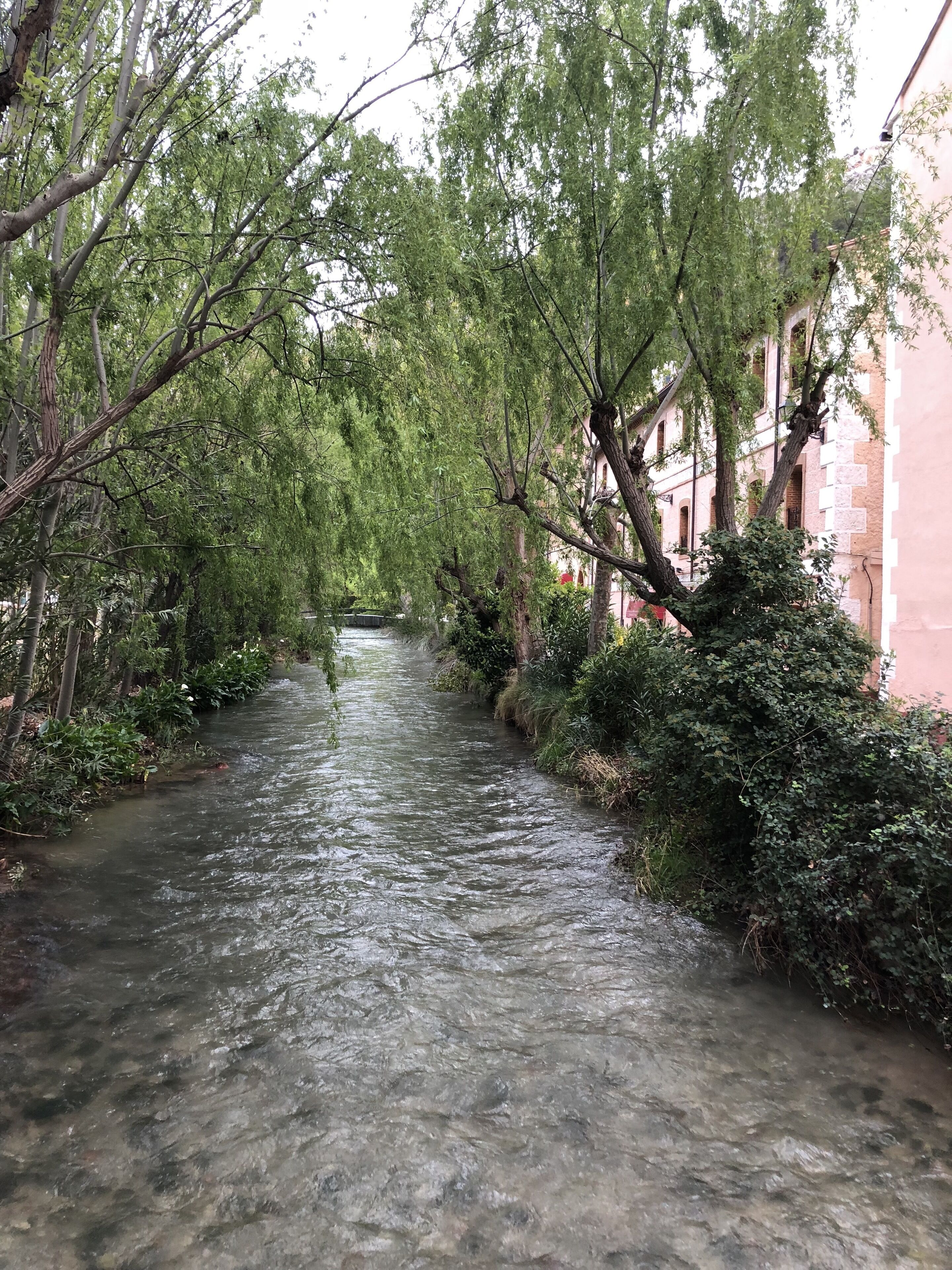 A narrow, clear stream flowing through a densely wooded area with buildings on one side.