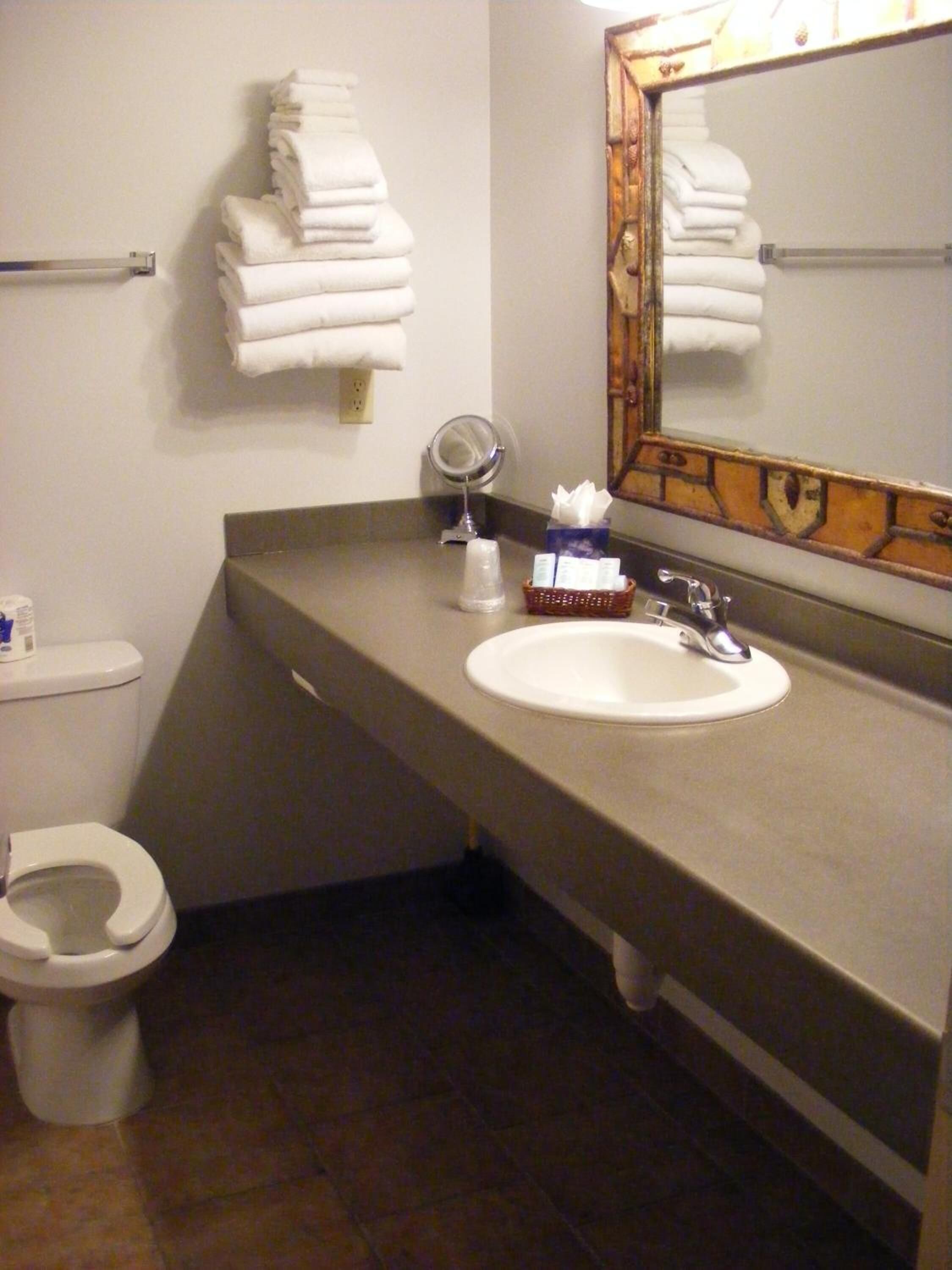 combined shower/bathtub, free toiletries, towels