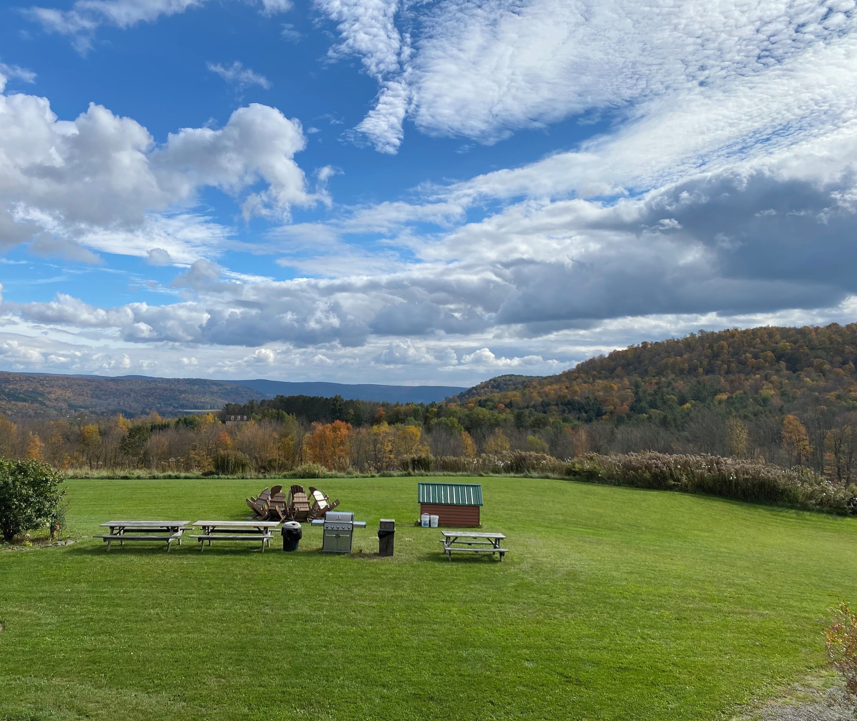 A grassy field with picnic tables and a barbecue grill.