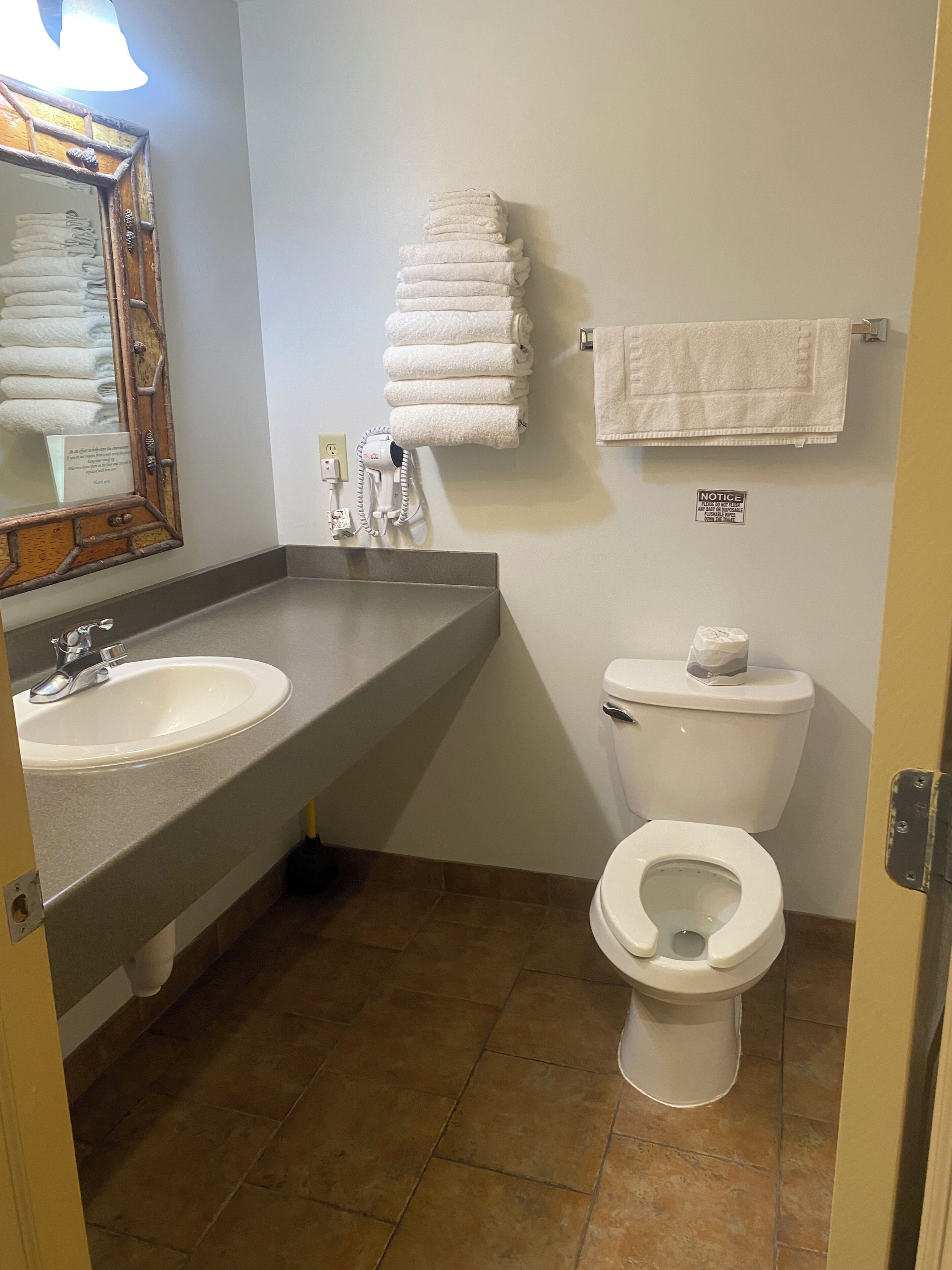 combined shower/bathtub, free toiletries, towels