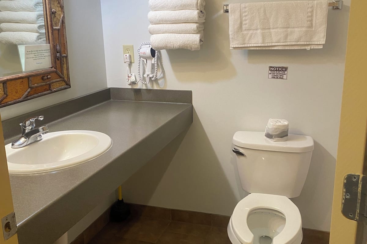 combined shower/bathtub, free toiletries, towels