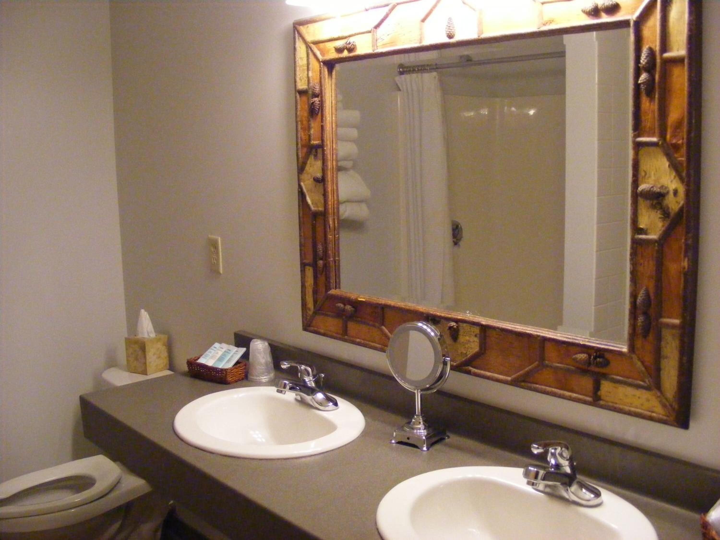 combined shower/bathtub, free toiletries, towels