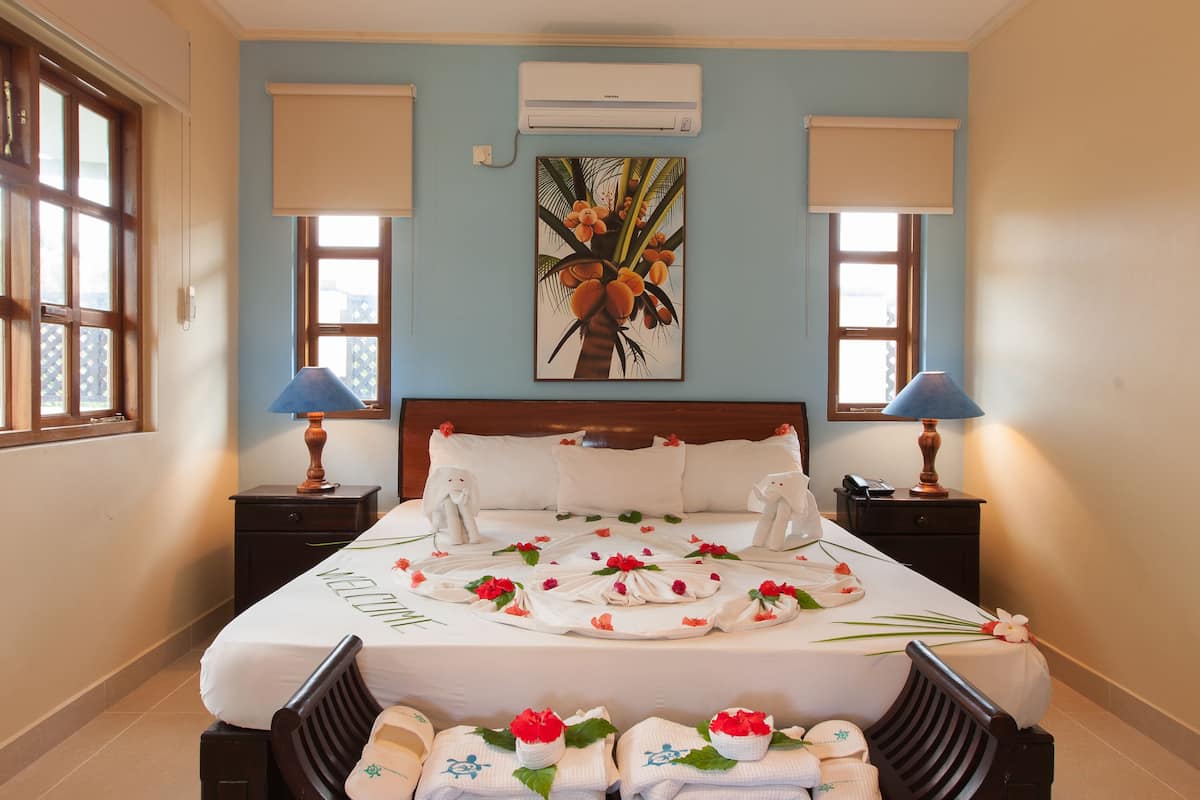 Deluxe Single Room | In-room safe, desk, rollaway beds, WiFi