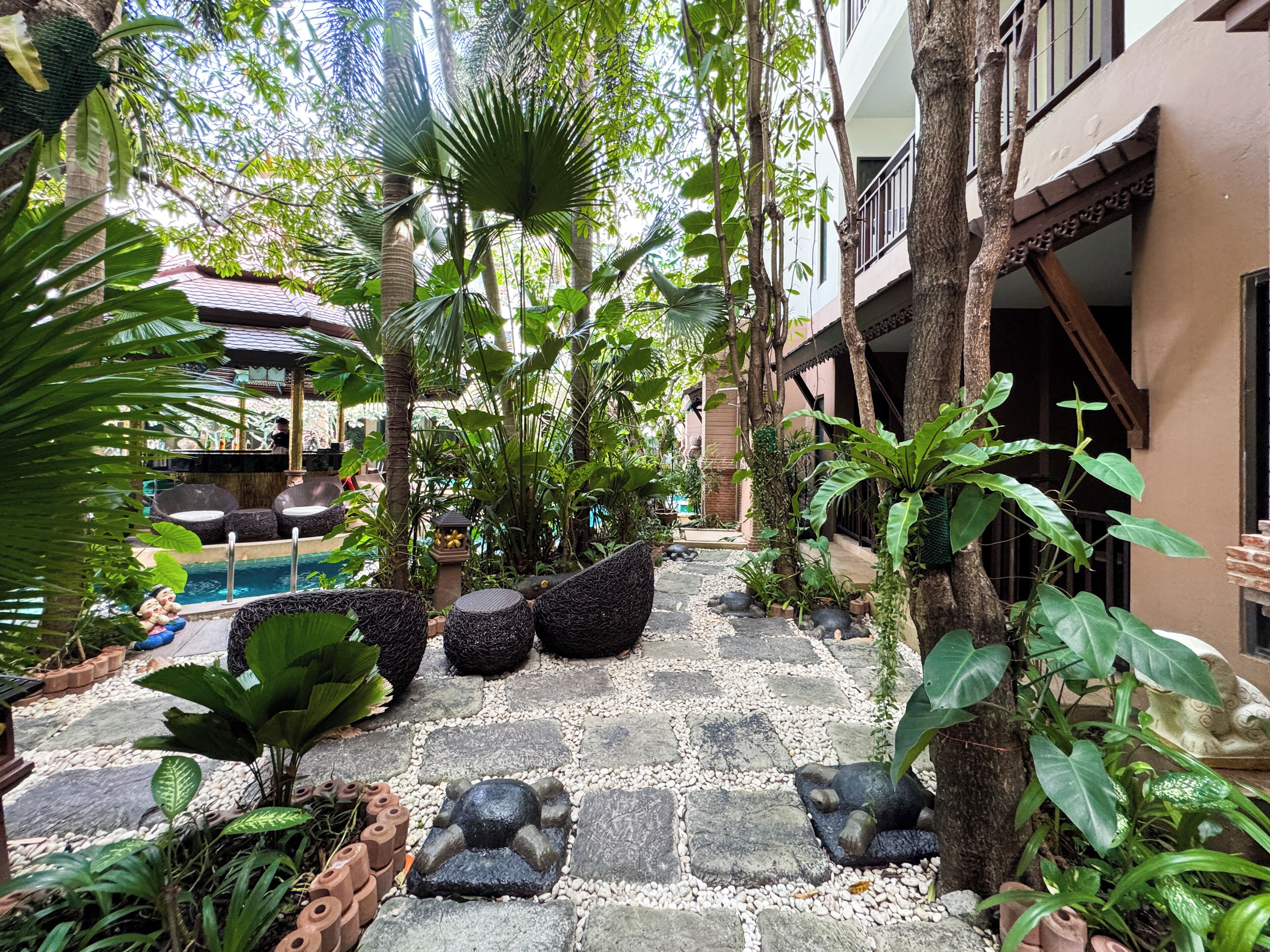 A courtyard with a pool, stone pathways, and various plants.
