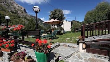 Trädgård