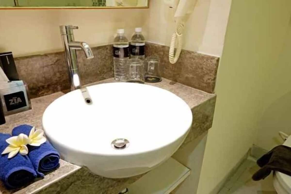 Shower, hydromassage showerhead, free toiletries, hair dryer