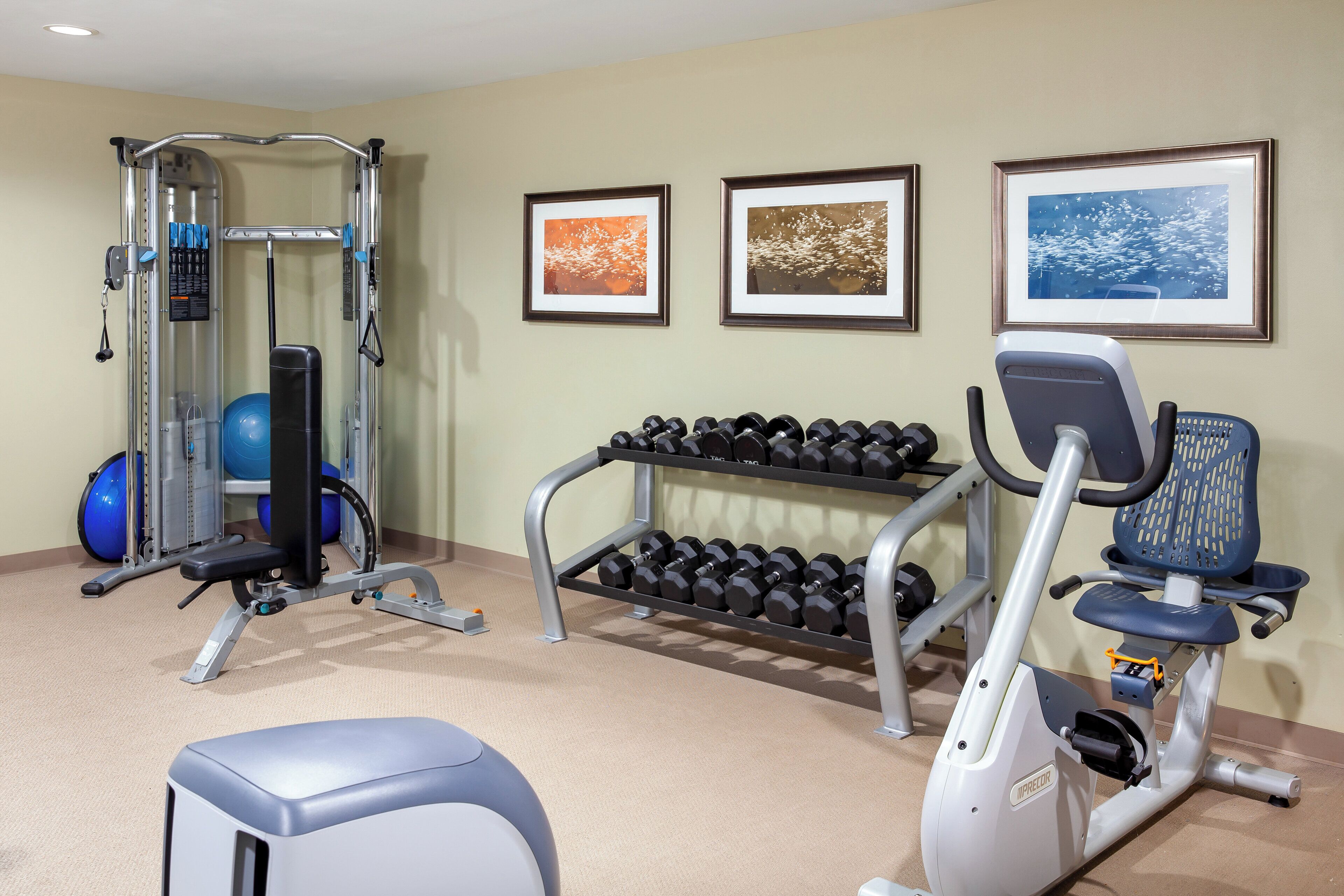Foto - Staybridge Suites Denver-Central Park by IHG