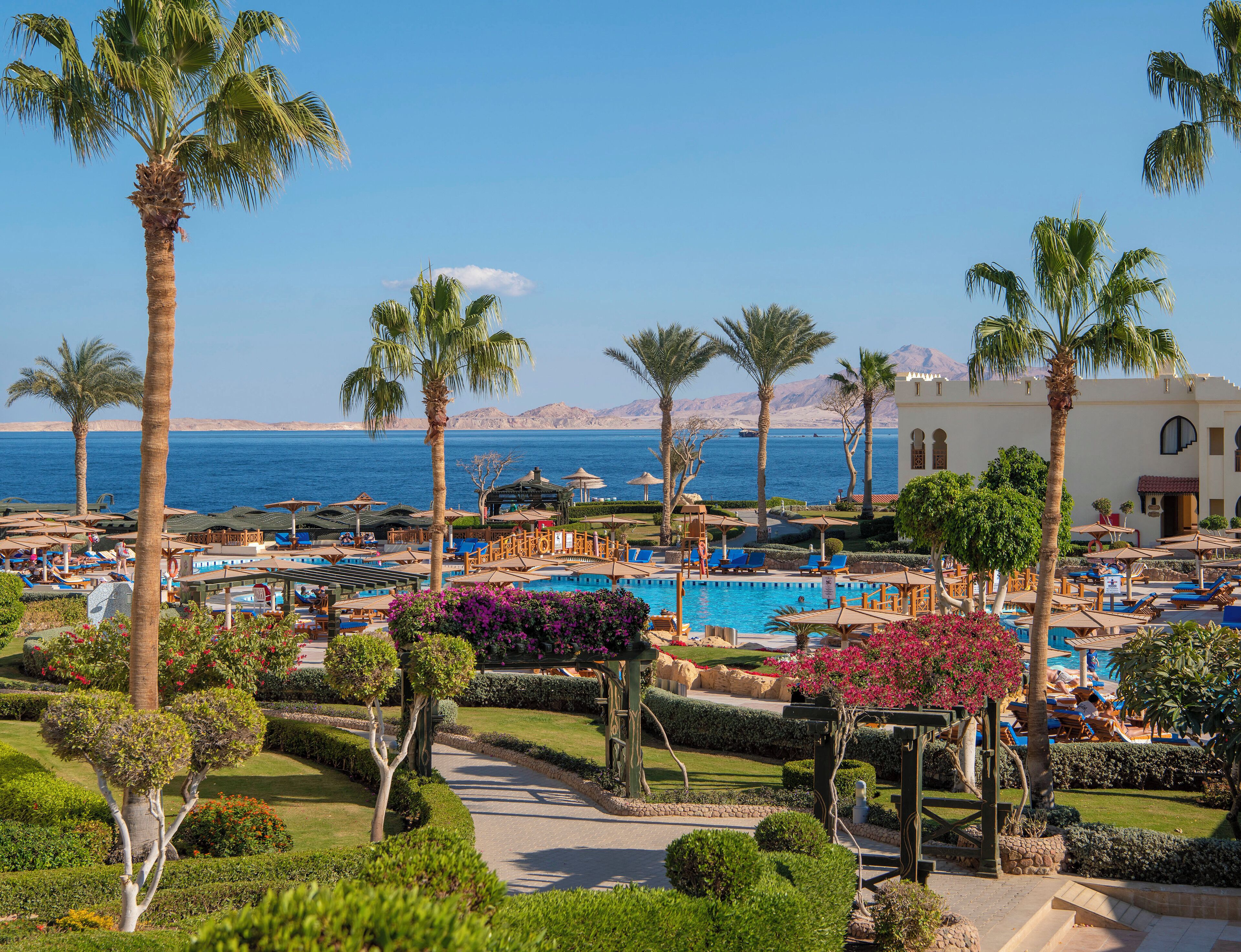 A resort with a swimming pool, palm trees, and a view of the sea.