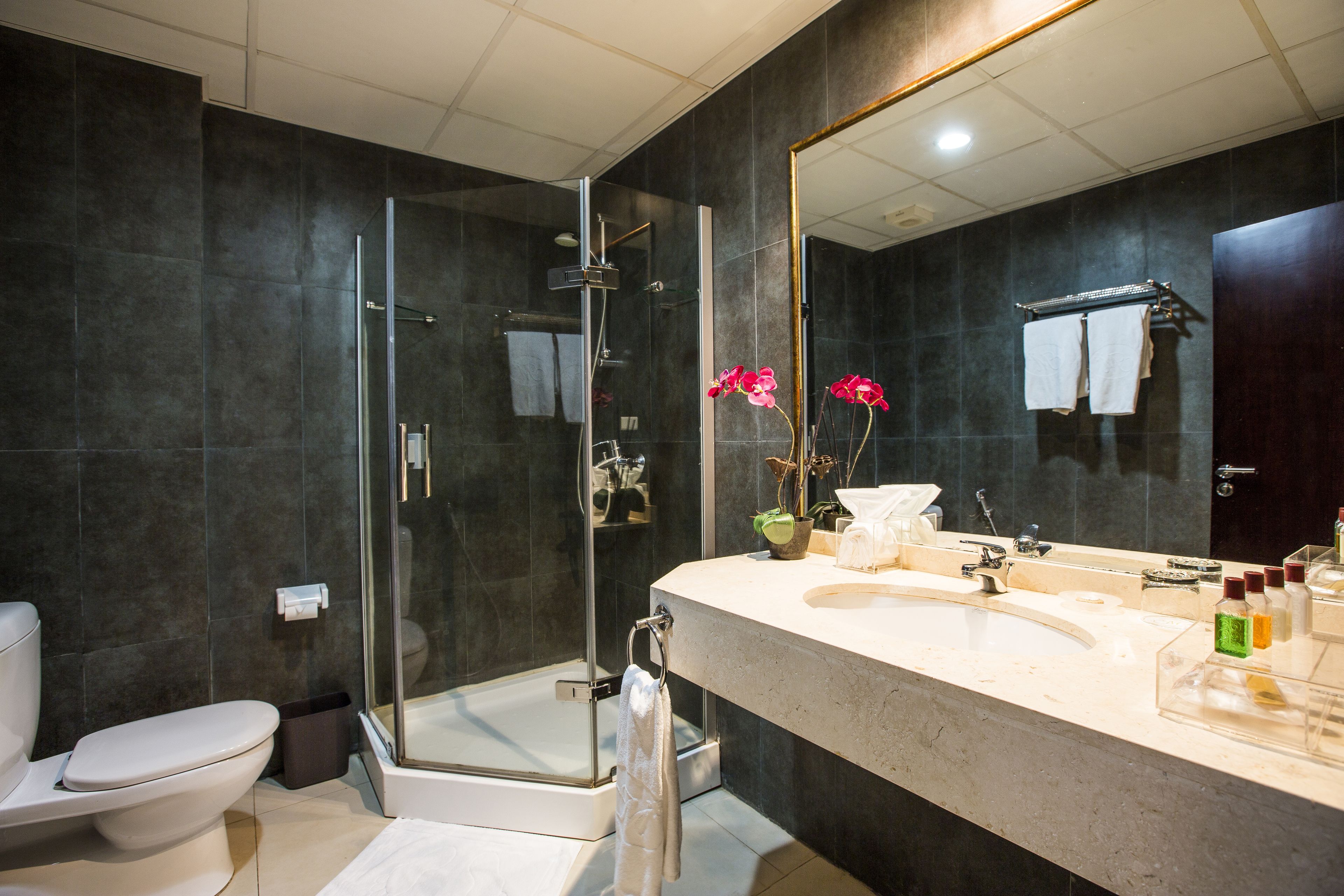 jetted bath, hydromassage showerhead, free toiletries, hair dryer