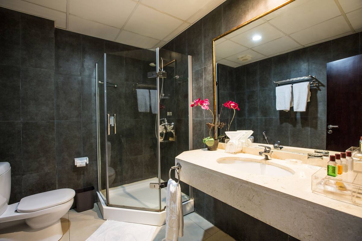 jetted bath, hydromassage showerhead, free toiletries, hair dryer