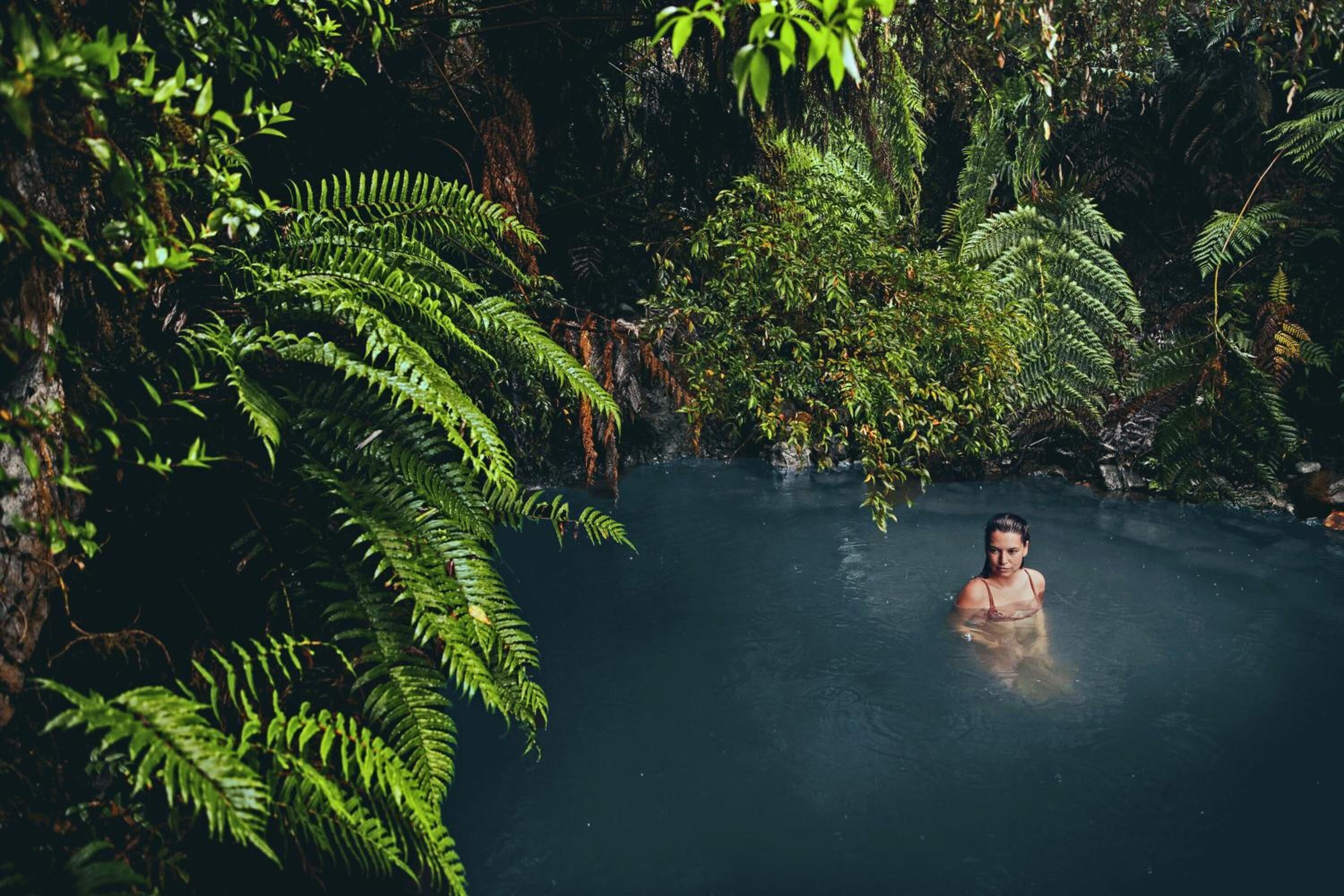 A person in a natural pool surrounded by lush ferns and trees.