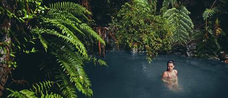A person in a natural pool surrounded by lush ferns and trees.