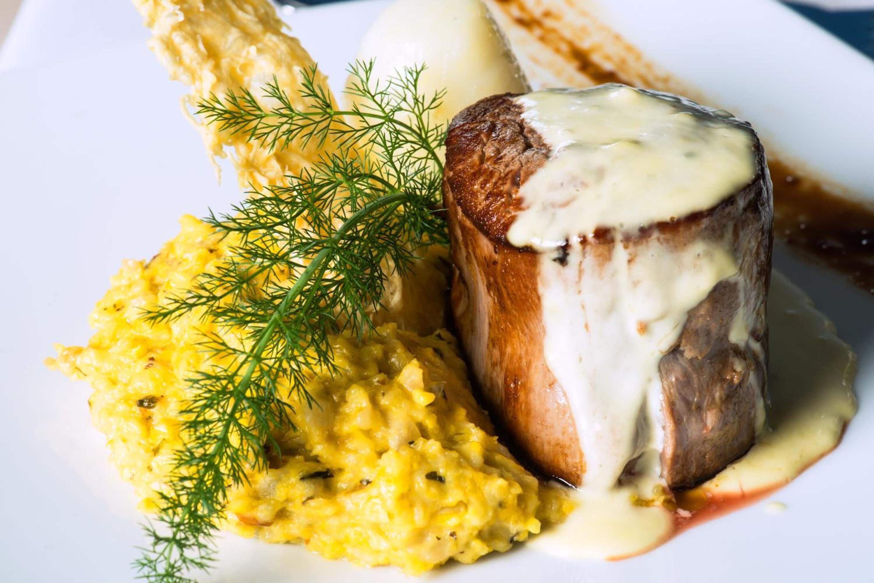 Een bord met vlees, overgoten met saus, puree en een takje dille.
