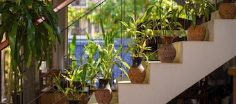 Glory Angkor Hotel SiemReap