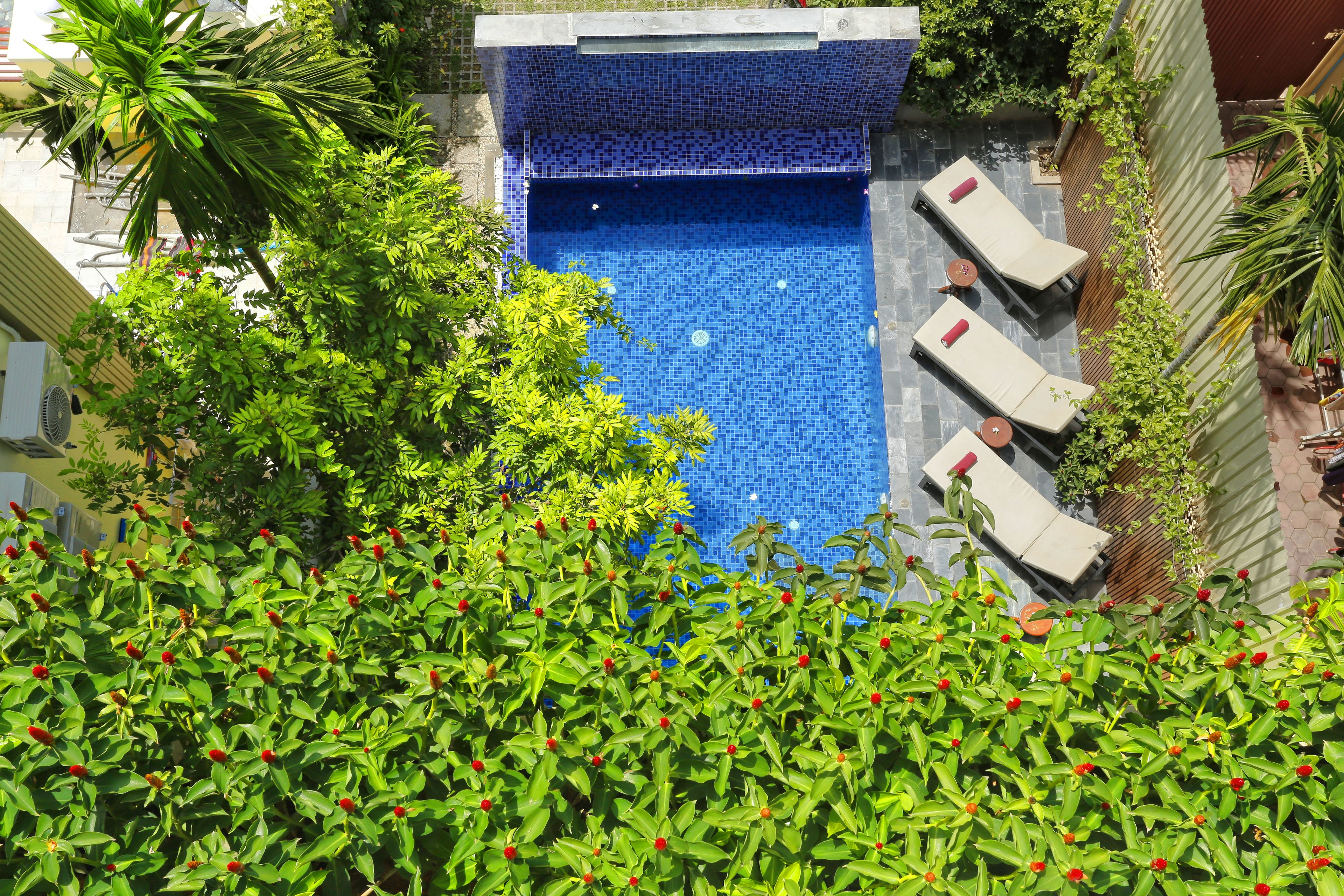 Una piscina al aire libre, sombrillas, tumbonas