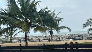 Outdoor pool, open 7 AM to 7 PM, pool umbrellas, sun loungers