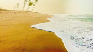 كرة طائرة على الشاطئ